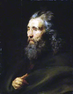 Head Study of a Bearded Man