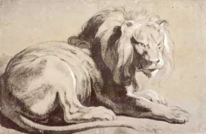 Etude of Lion